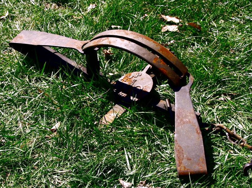 Polizei fahndet nach Fallenaufsteller