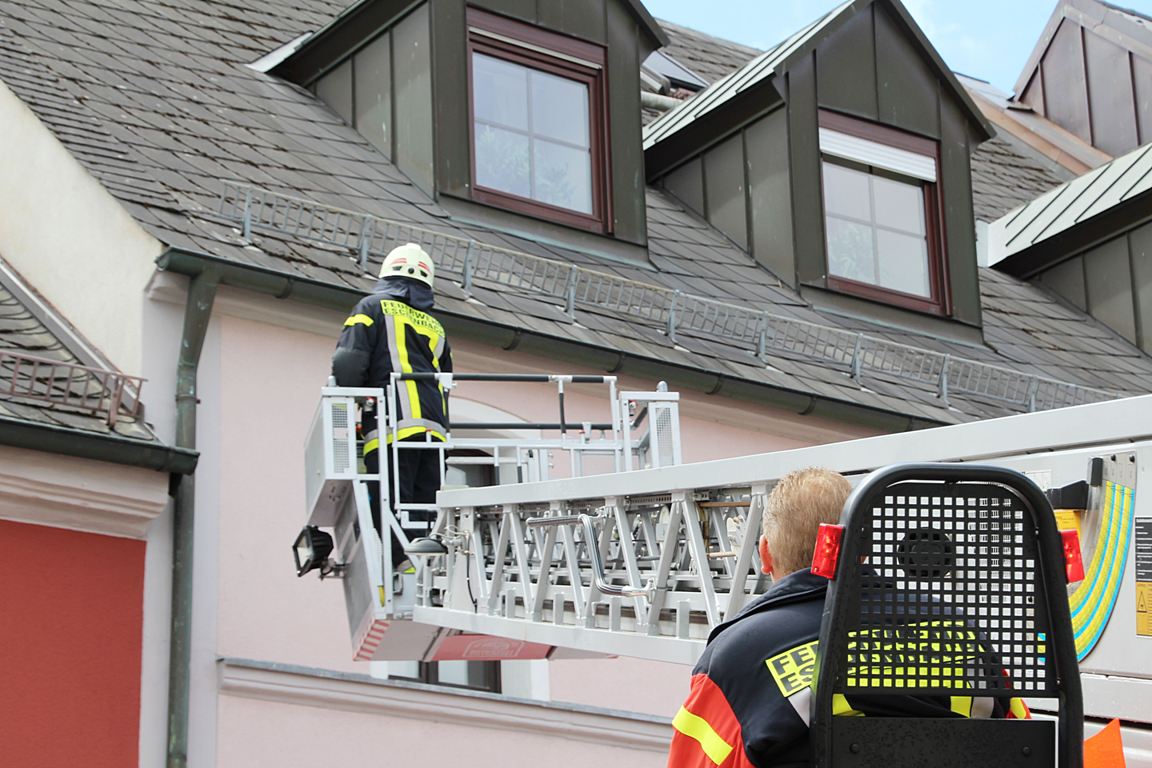 Tierische Rettung: Ungewöhnlicher Einsatz für Feuerwehr Eschenbach