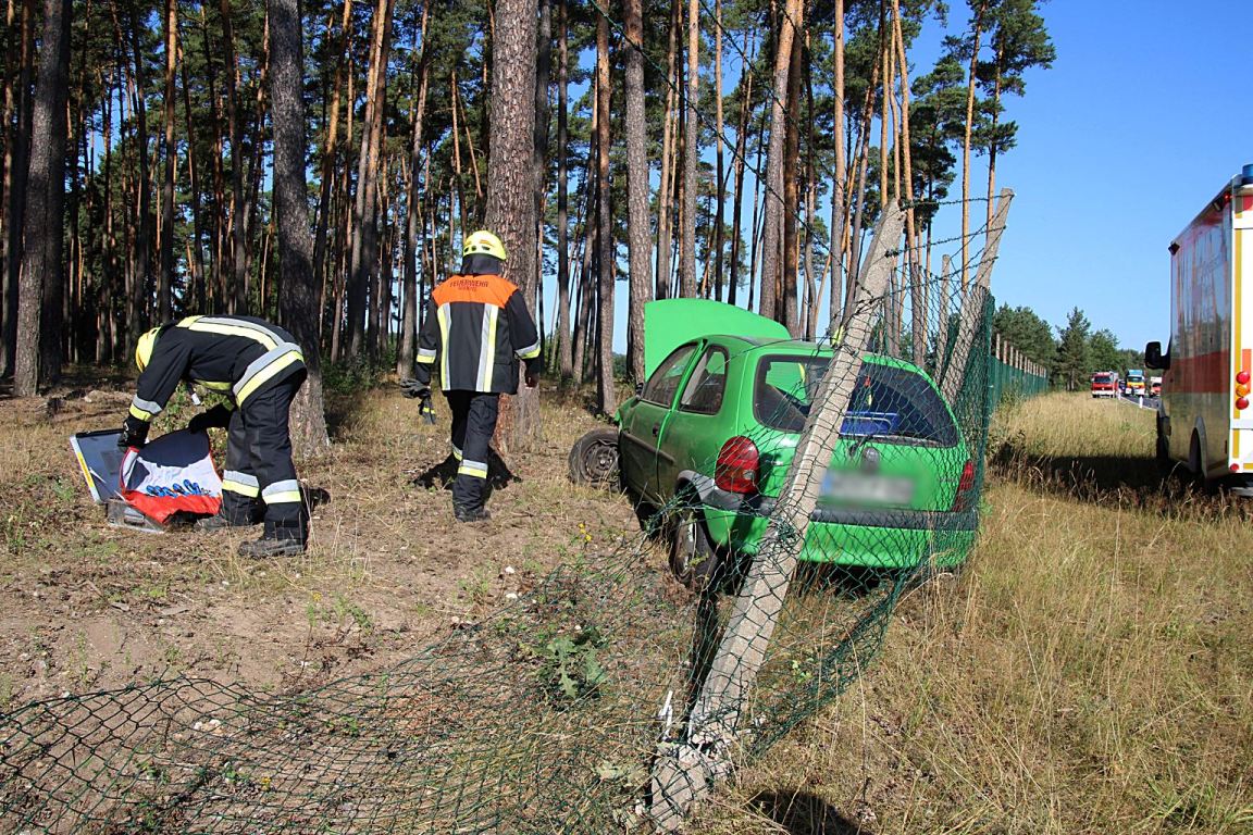 Autofahrer kracht durch Wildgehege in einen Baum