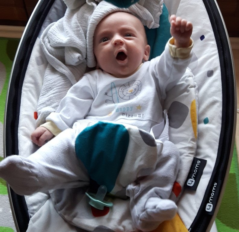 Babys 2017: Kalenderwoche 31