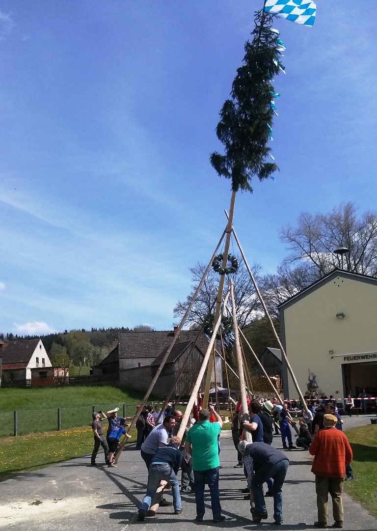 Maibaum-Versteigerung endet mit Überraschung