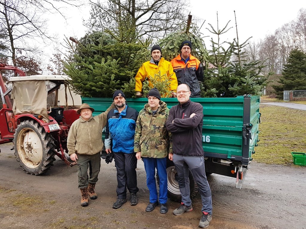 Christbäume kostenlos abtransportiert