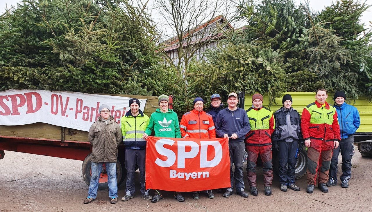 SPD und Jusos sammeln Christbäume ein
