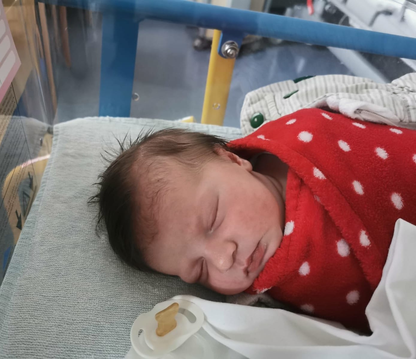 Babys 2021: Kalenderwoche 31