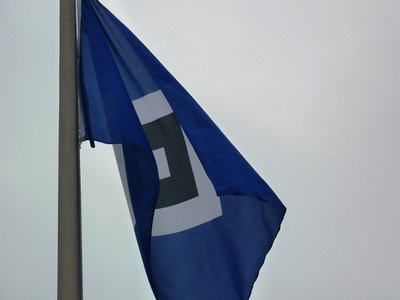 Dieb klaut HSV-Fahne