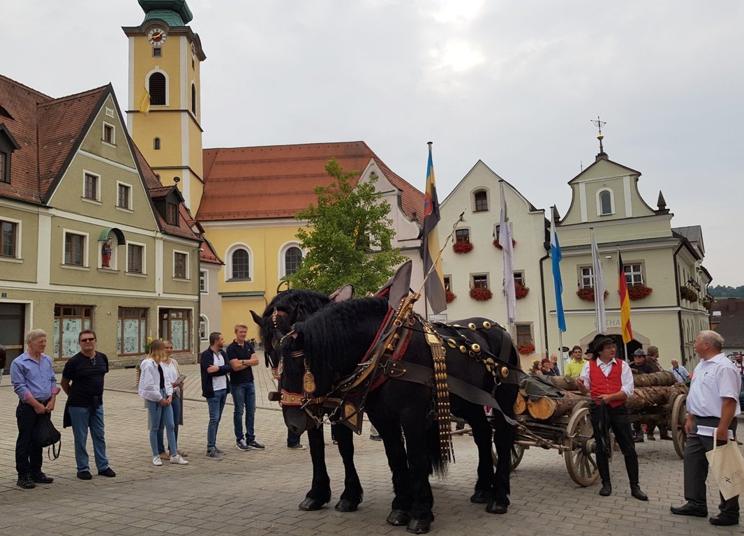 800 Jahre Neustadt: Höhepunkt der Festwoche