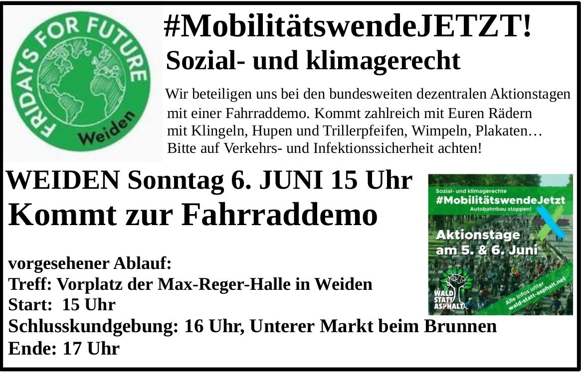 „Wald statt Asphalt“: Fridays for Future Fahrraddemo