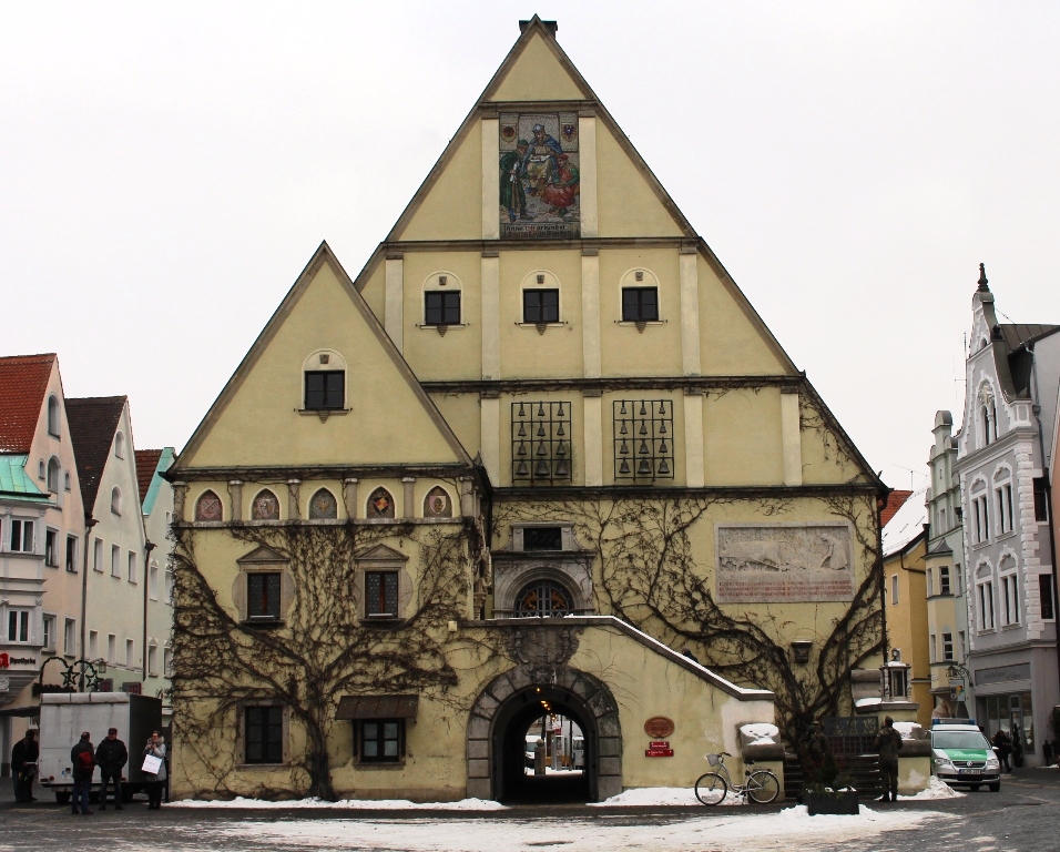 Reben aus dem Burgenland – Pflanzaktion am Alten Rathaus