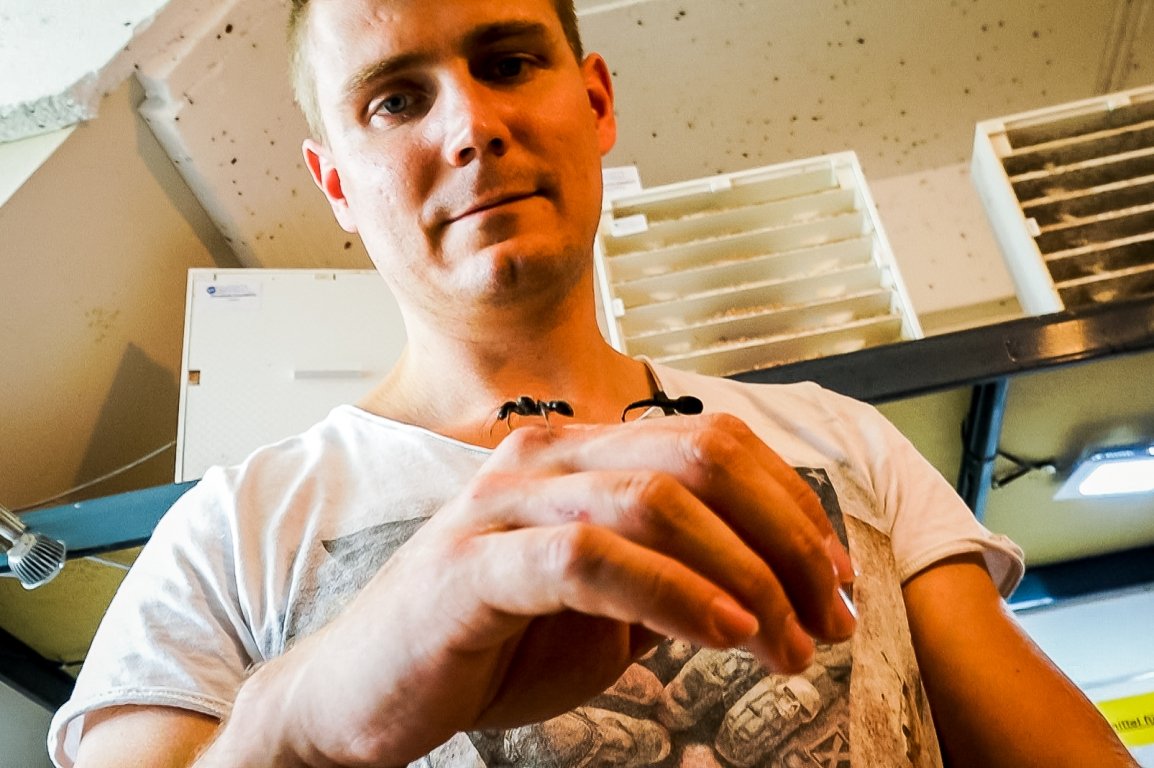 Das große Krabbeln: René Hiersigk betreibt einen etwas anderen Online-Shop
