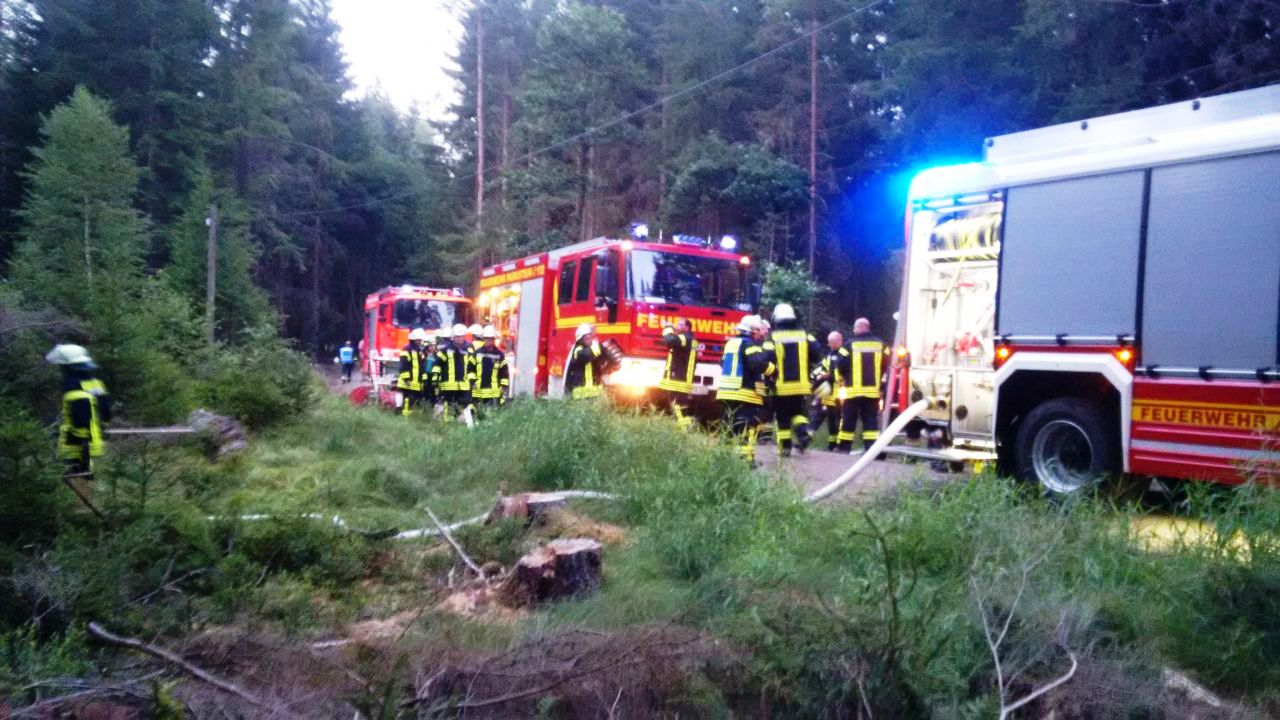Hitzewelle: Schon wieder Feuer