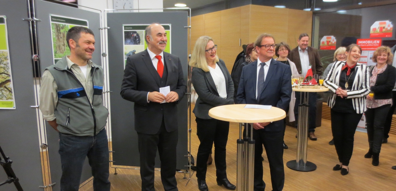 Ausstellung „Aktionsjahr Waldnaturschutz“