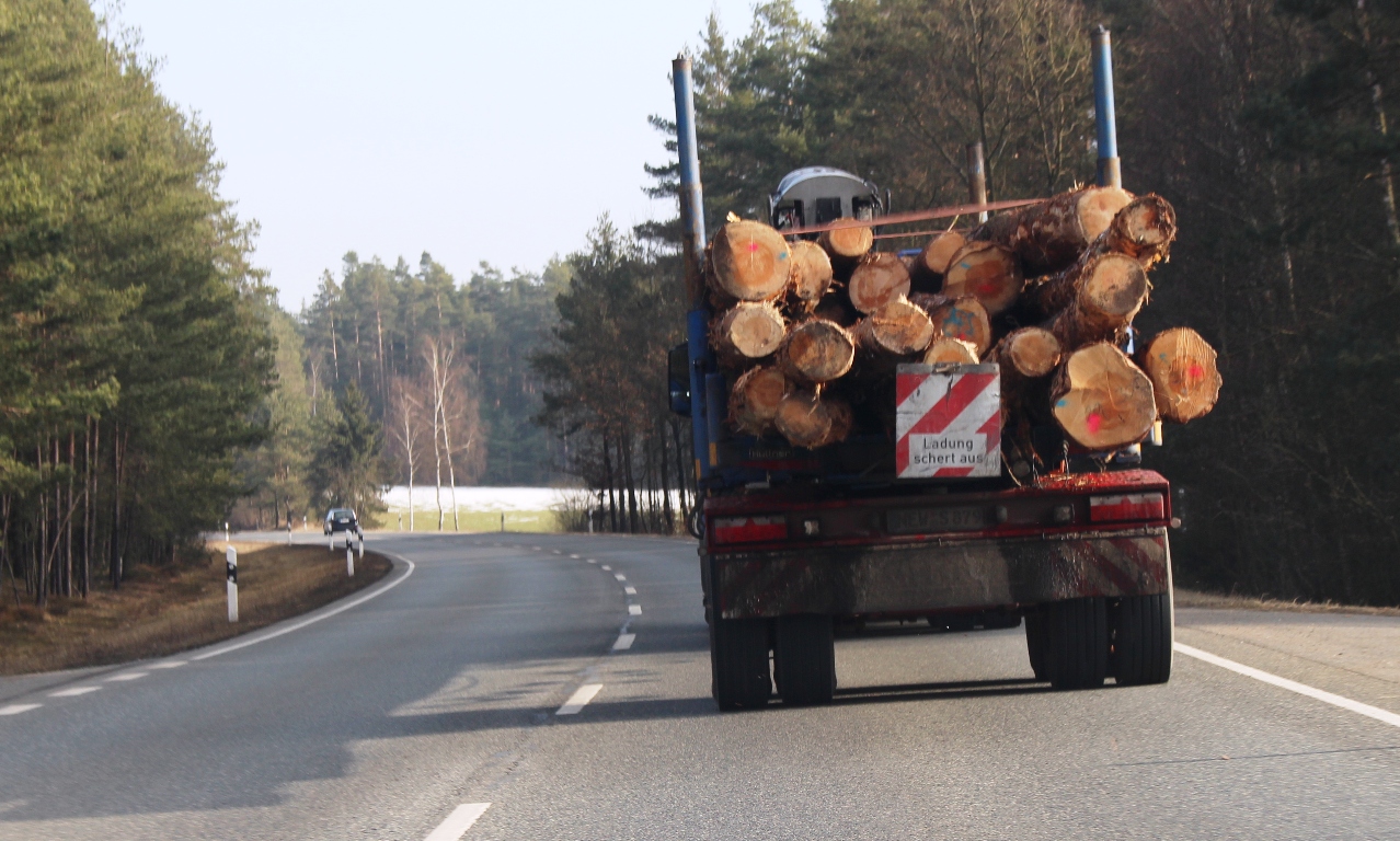 Lkw verliert Ast: Auffahrunfall mit 7.000 Euro Schaden
