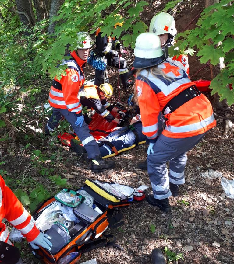Bereitschaften im Notfall: Suchdienst & Rettungshunde