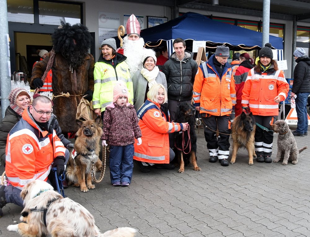 Weihnachtskekse für die treuen Fellnasen