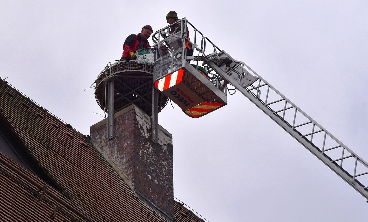 Storchenhorst bekommt neue Wohnzimmereinrichtung