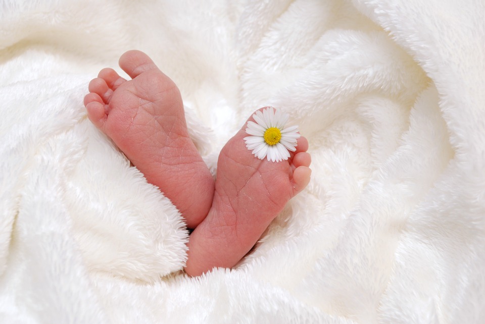 Babys 2017: Kalenderwoche 35