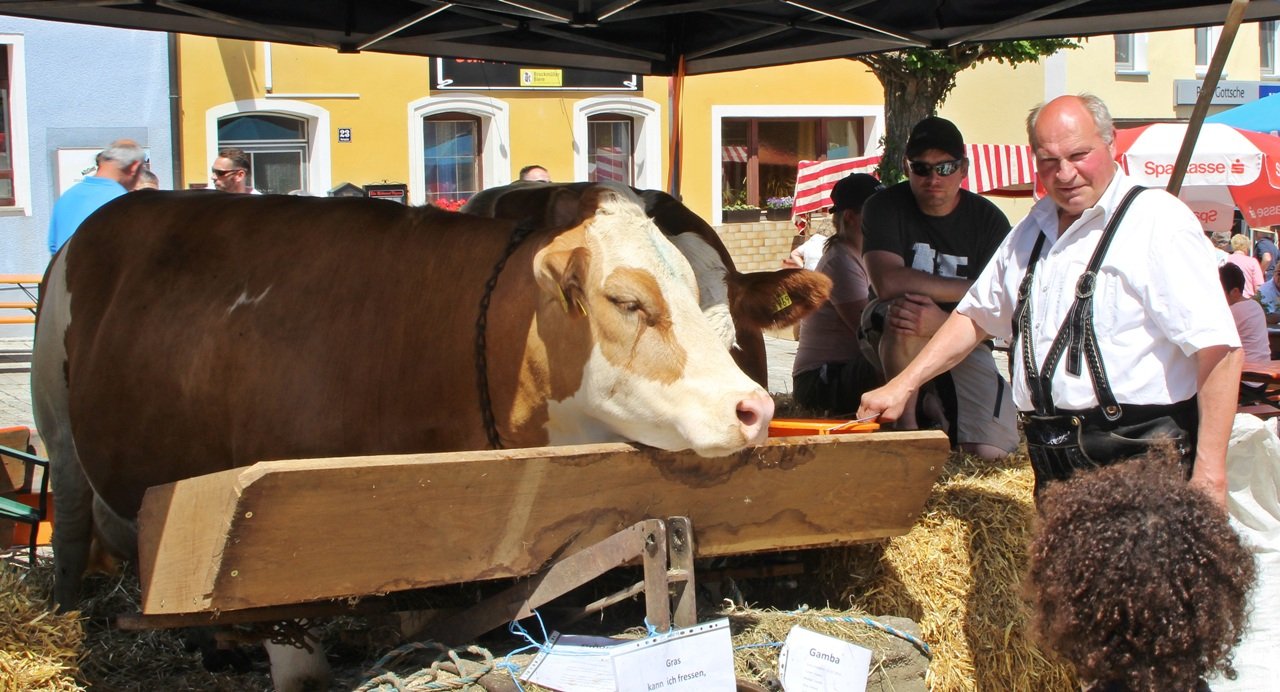 Sommerwetter am Bauernmarkt lockt tausende Besucher nach Eschenbach