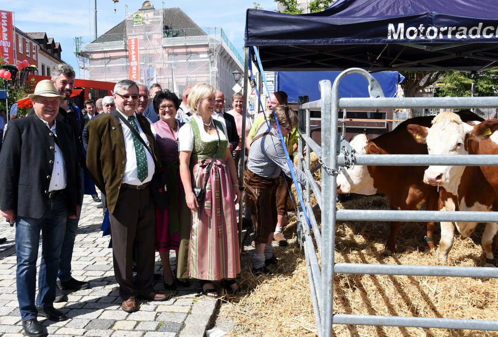 Bauernmarkt lockt tausende Besucher