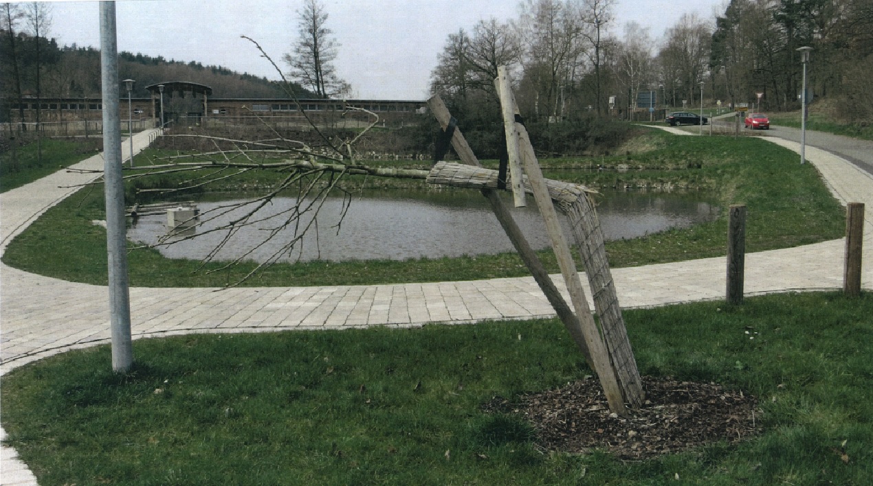 Vandalen knicken jungen Alleebaum um