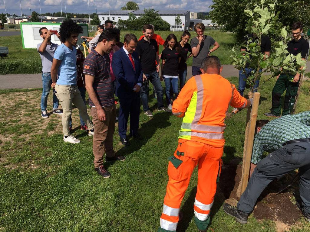 Rotaract pflanzt Obstbäume und Wildsträucher