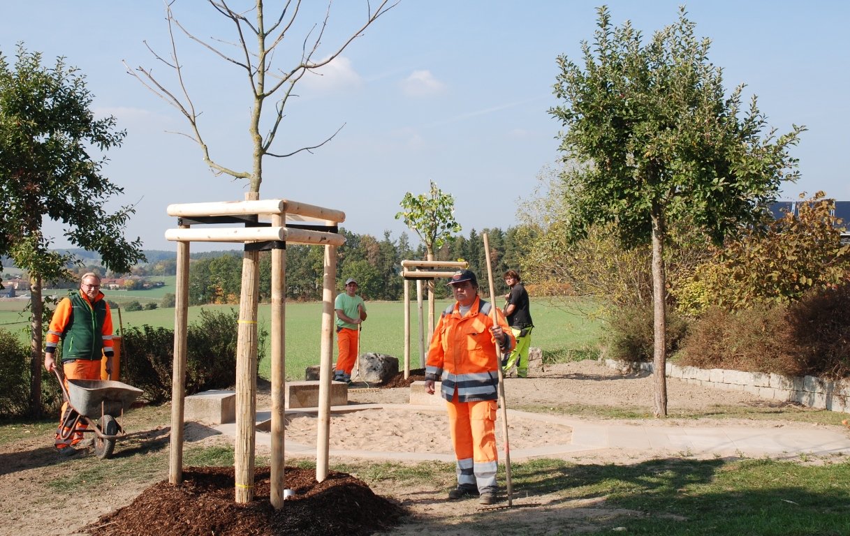 Parkstein wird grüner!