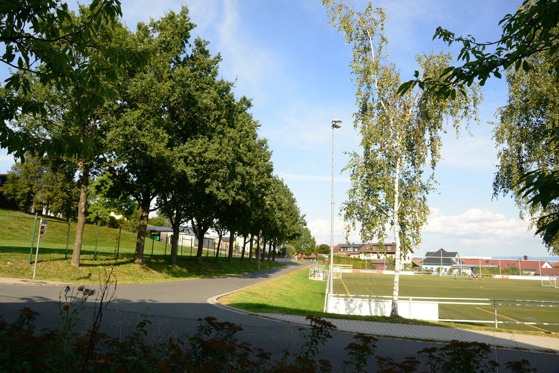Wegen Blättern und Eicheln: SV Parkstein will Bäume fällen