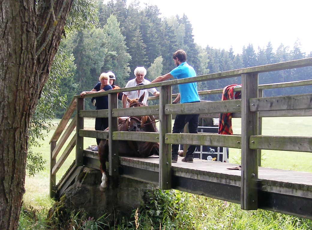 Feuerwehr Waidhaus befreit eingeklemmtes Pferd