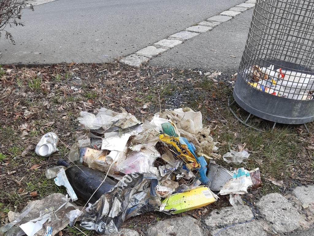 Müll erhitzt Gemüter in Neustadt