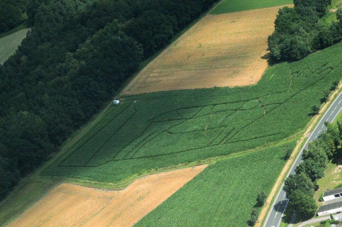 Maislabyrinth in Altenstadt sorgt für Nervenkitzel