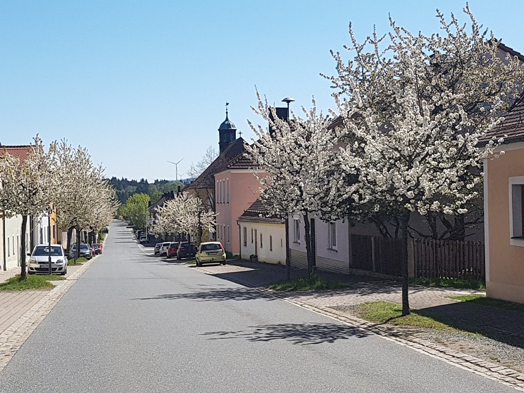 Neudorf blüht auf