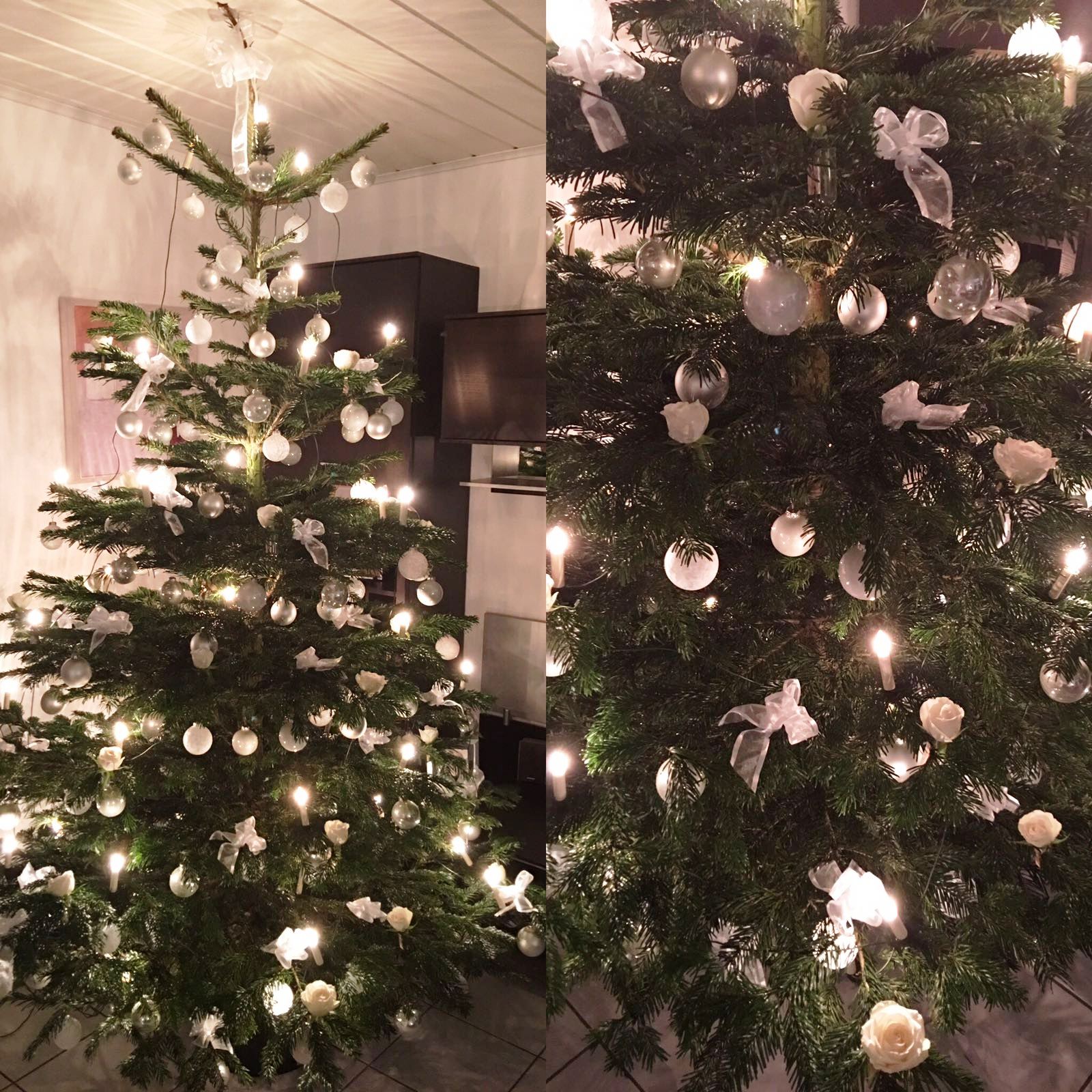 Christbaum loben: Wir zeigen euch die Weihnachtsbäume unserer Leser!