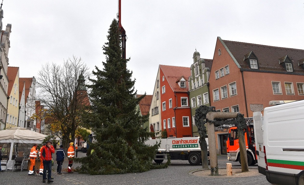 Servus Christbaum: Stadt sammelt Bäume ein