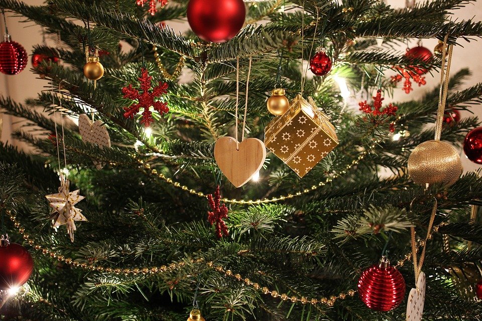 Adventskalender, App-Dilemma, Christbaum-Diskussion: Wie macht’s der Nordoberpfälzer?
