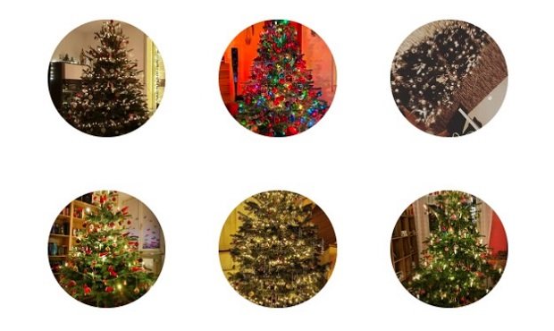 OberpfalzECHO-Christbaumloben 2019: Jetzt abstimmen!