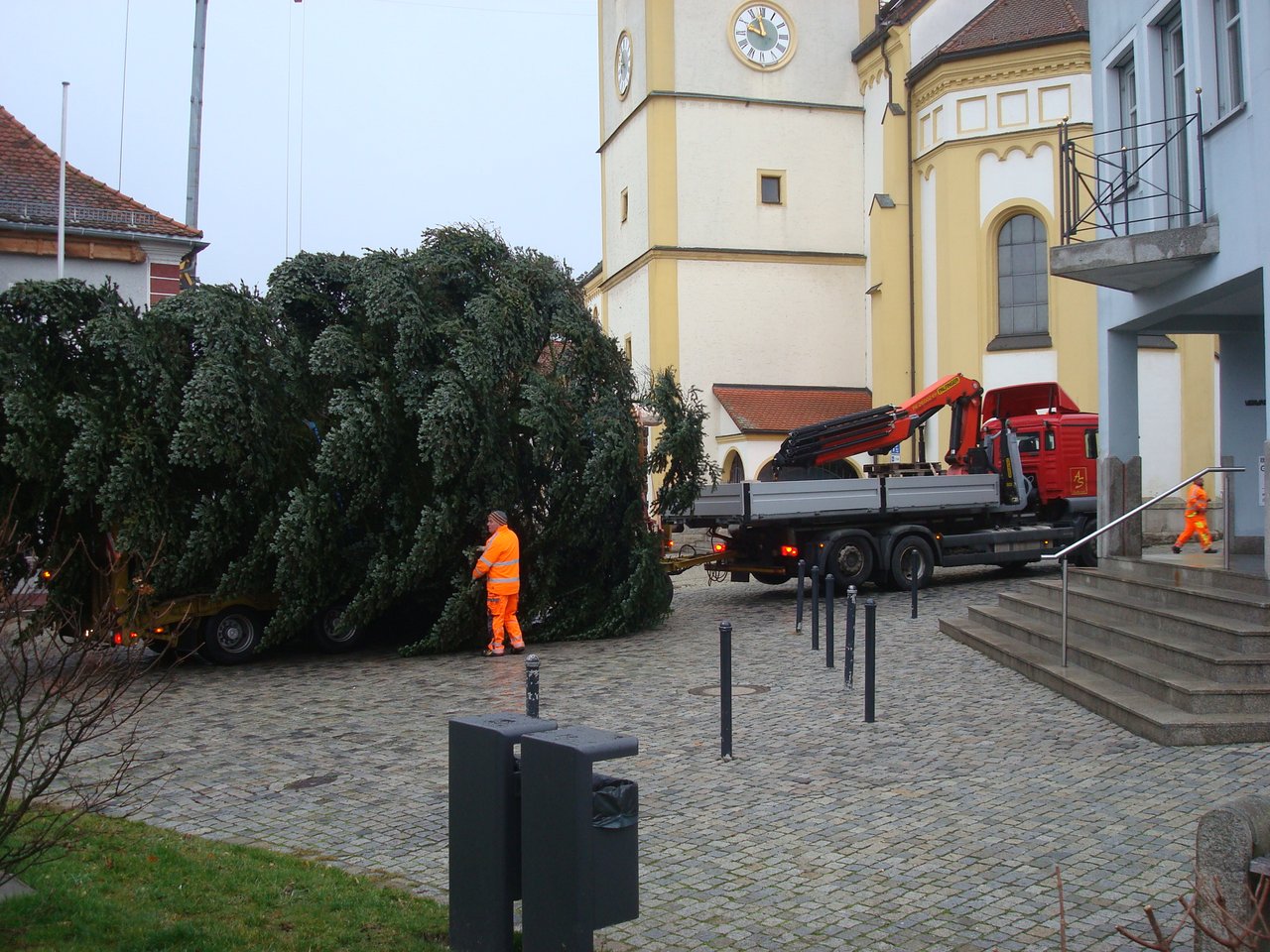 Der Christbaum für alle steht – Weihnachten kann kommen!