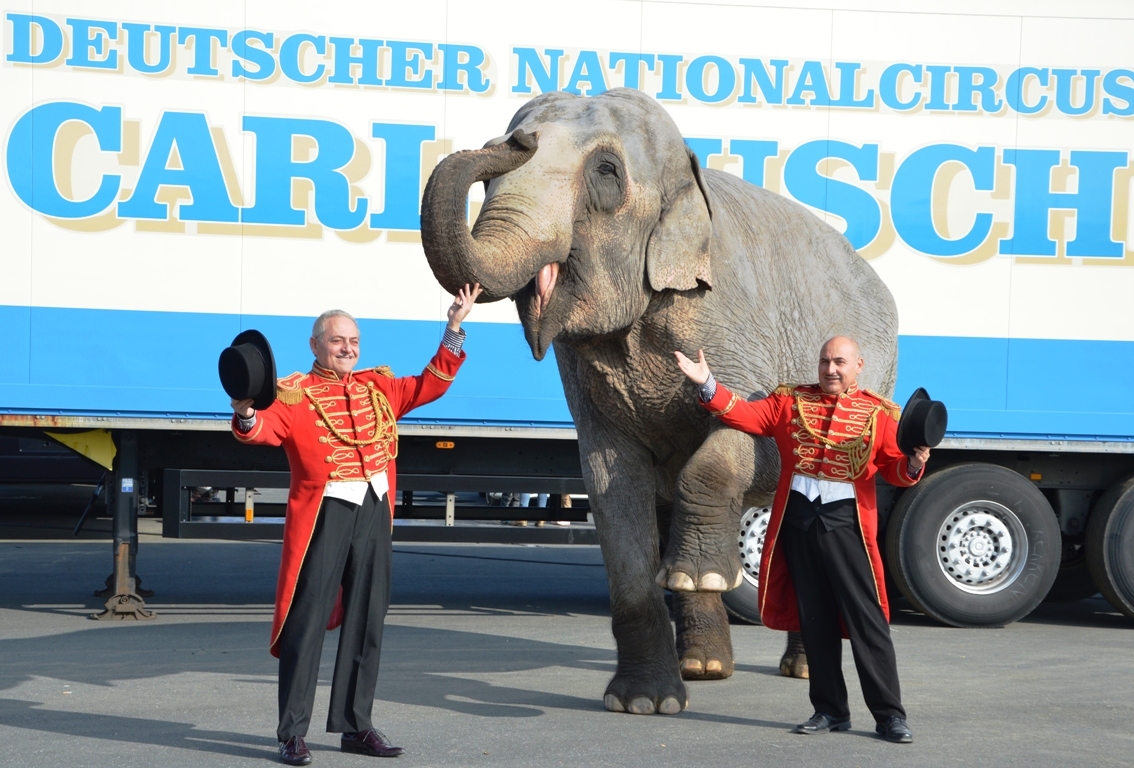 Zirkus in Weiden: Das sind die Gewinner