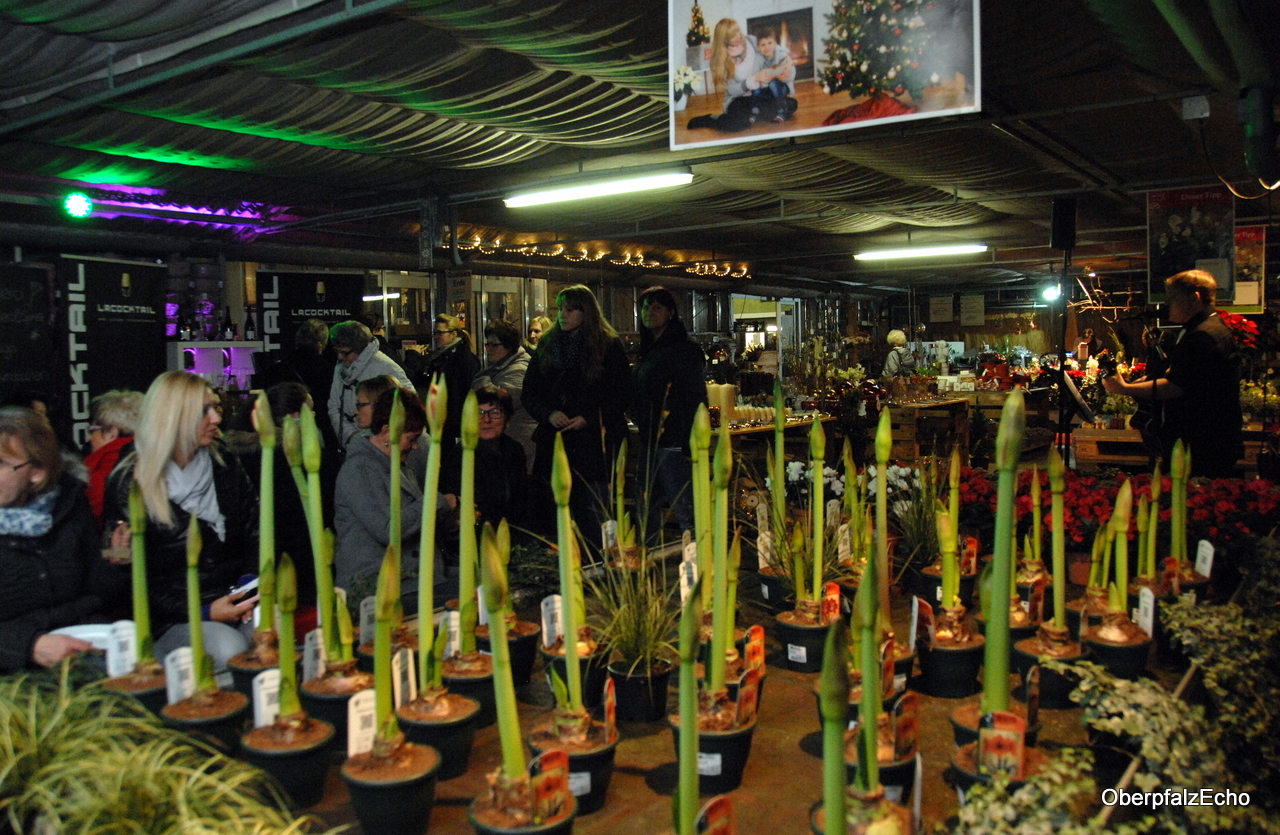 Entspannt shoppen bei Ladies Night