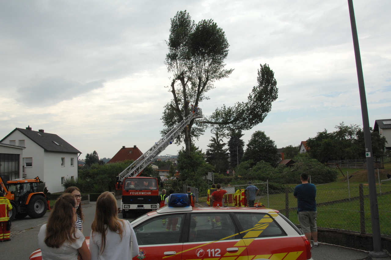 Sturm wirft Riesen-Pappel auf Spielplatz