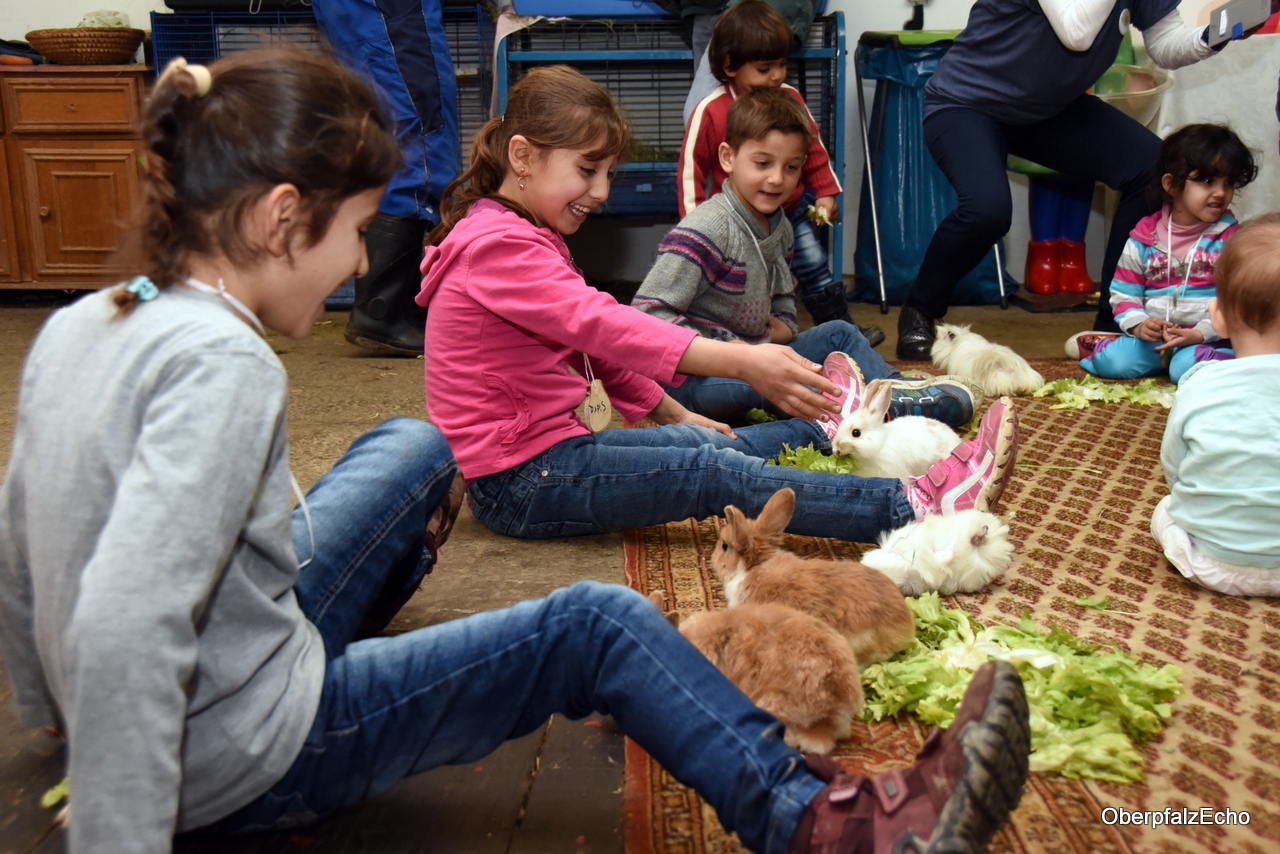Flüchtlingskinder zu Besuch bei „Bauer Fritz“