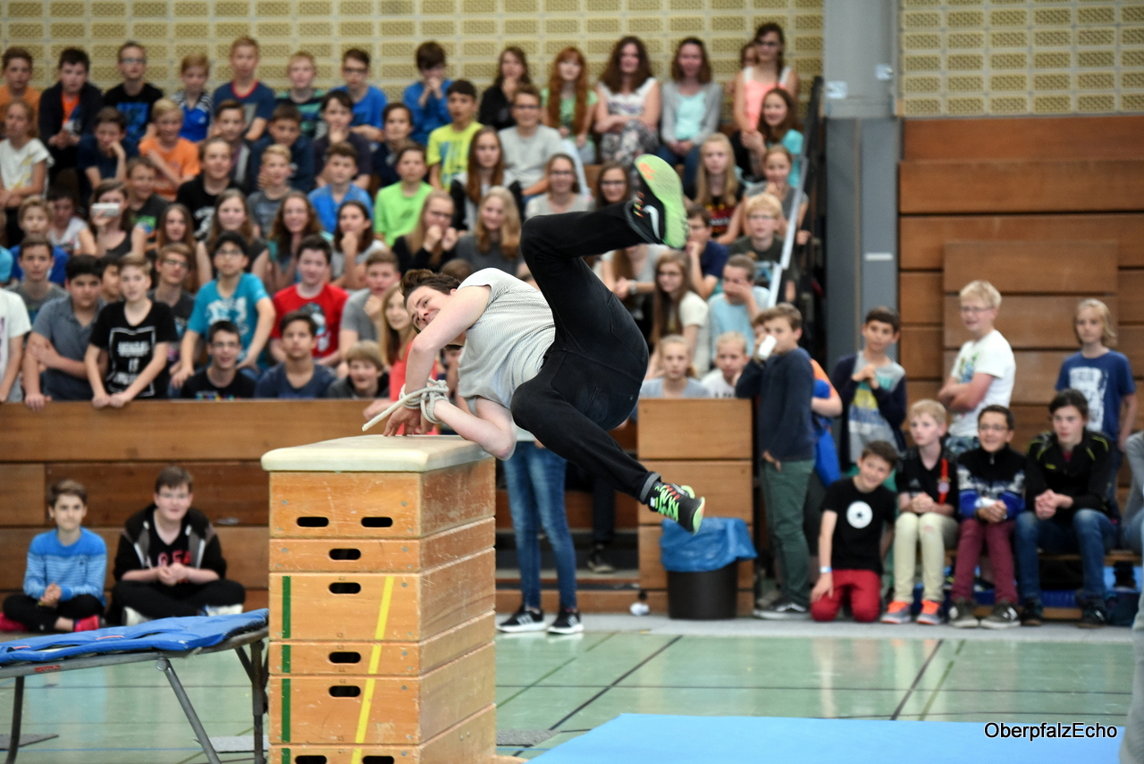 „Verbrecherbande“ endlich dingfest gemacht