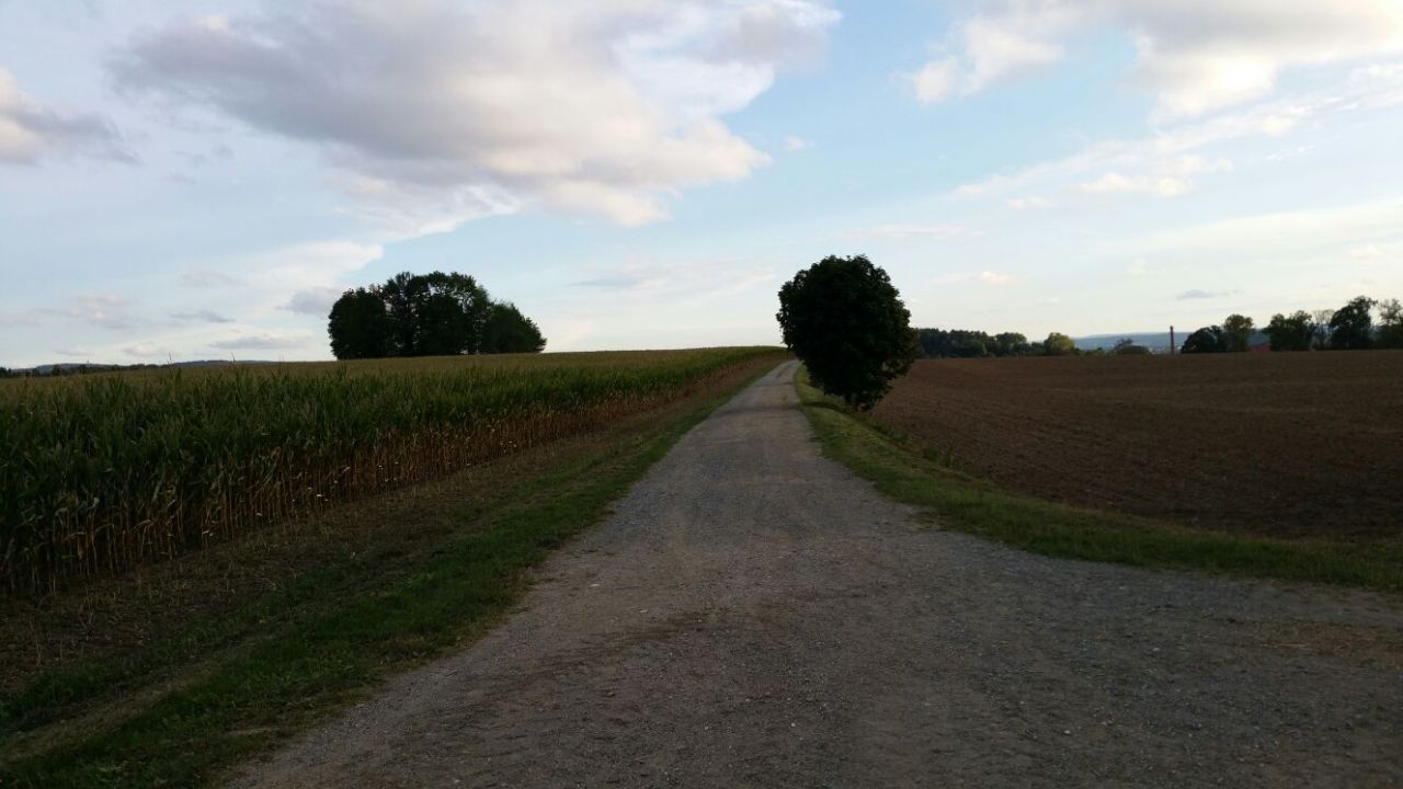Neue Feld- und Gehwege für Störnstein