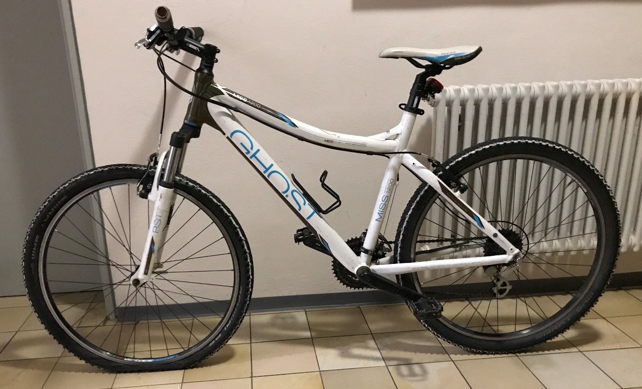 Diebstahlpläne durchkreuzt