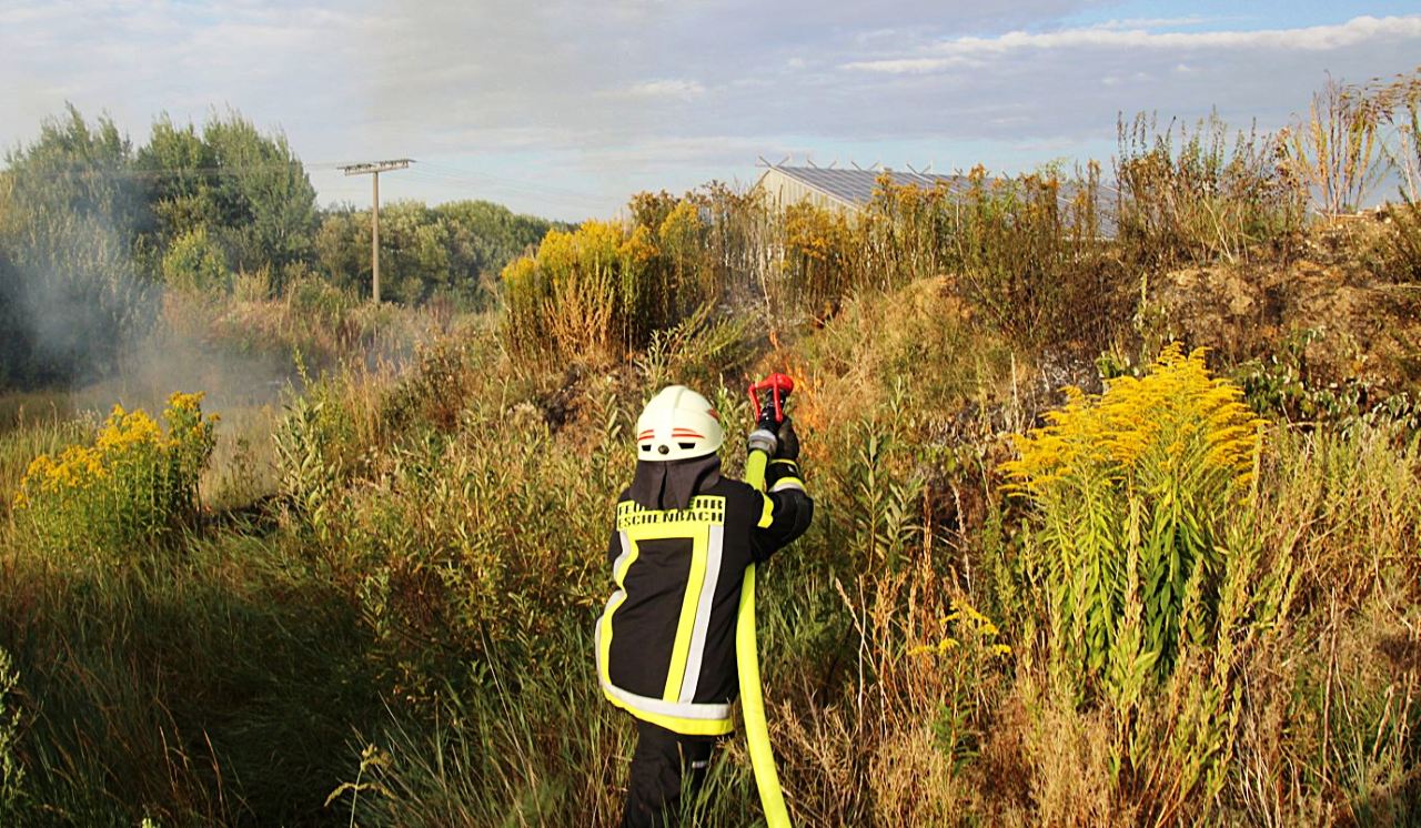 Zwei Feuer in einer Nacht: Grünfläche im Industriegebiet brennt