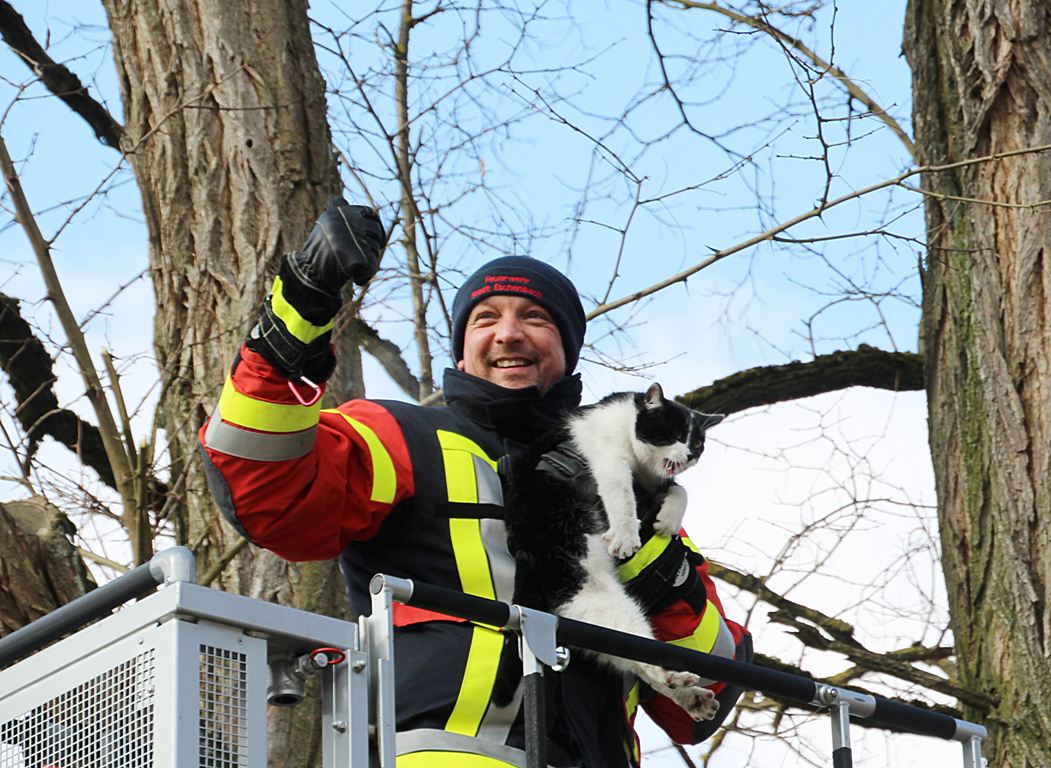 Tierische Rettungsaktion bei Minusgraden