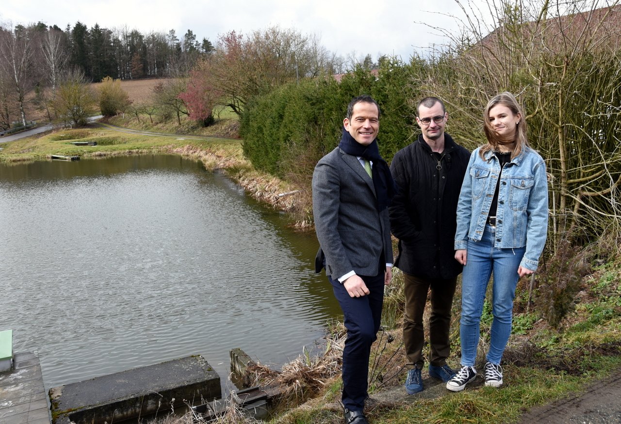 Stromtrasse unter Fischteichen