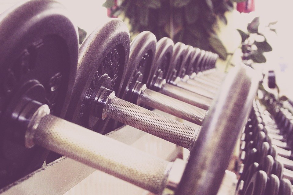 [Sonntagsfrage] Fitnessstudio oder Workout daheim?