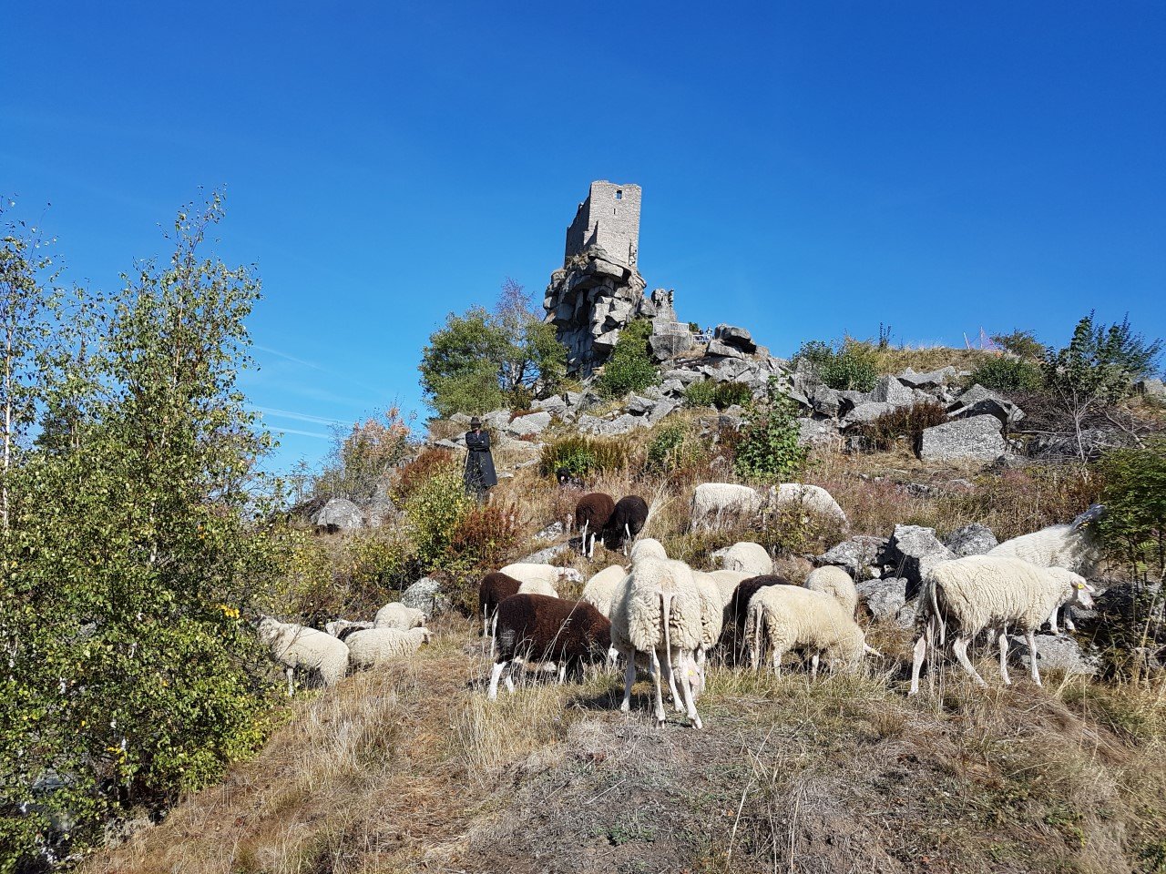 Flossenbürg: Turm der Burgruine gesperrt