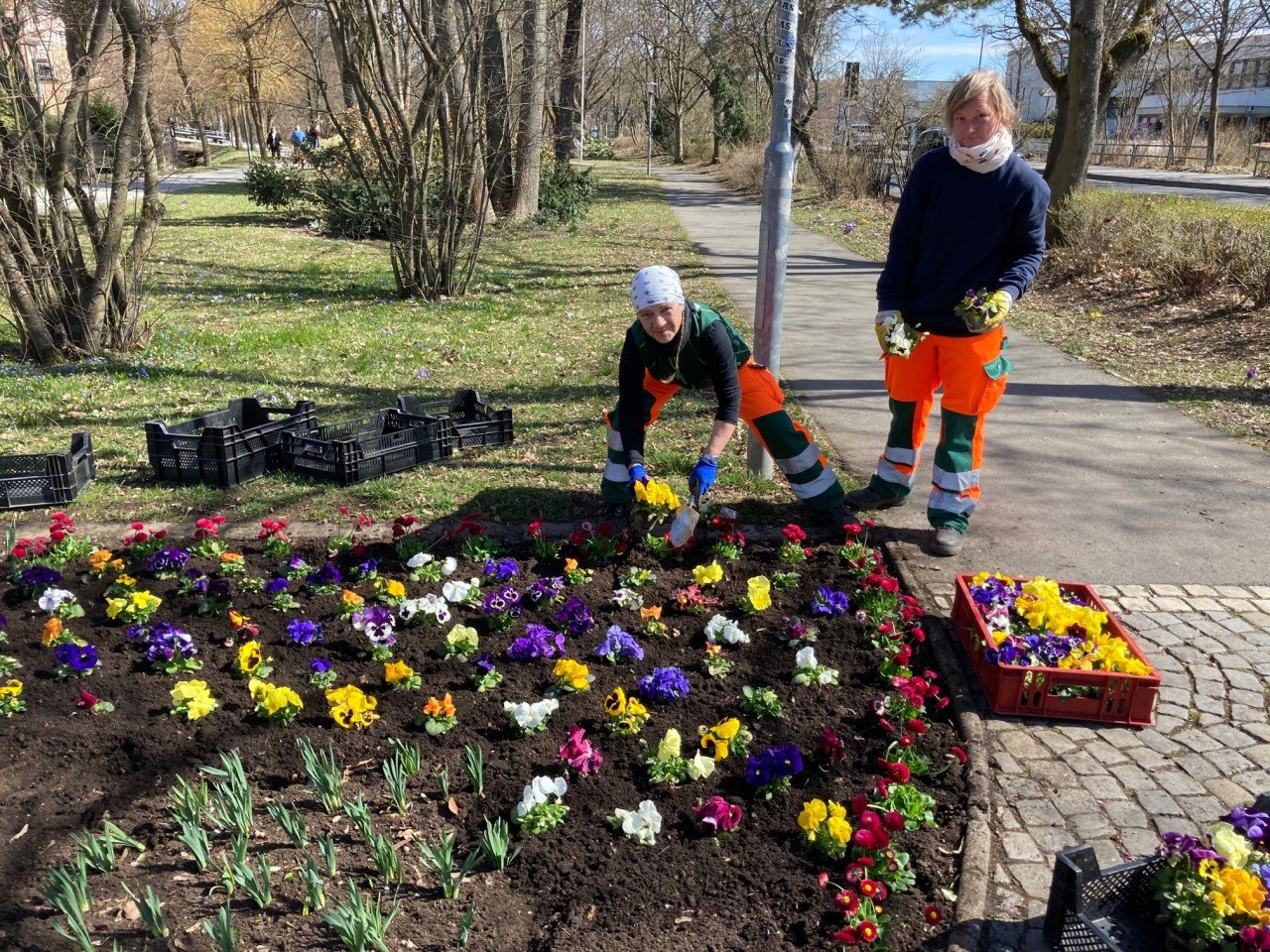 Stiefmütterchen, Gänseblümchen und unzählige Narzissen verschönern Weiden