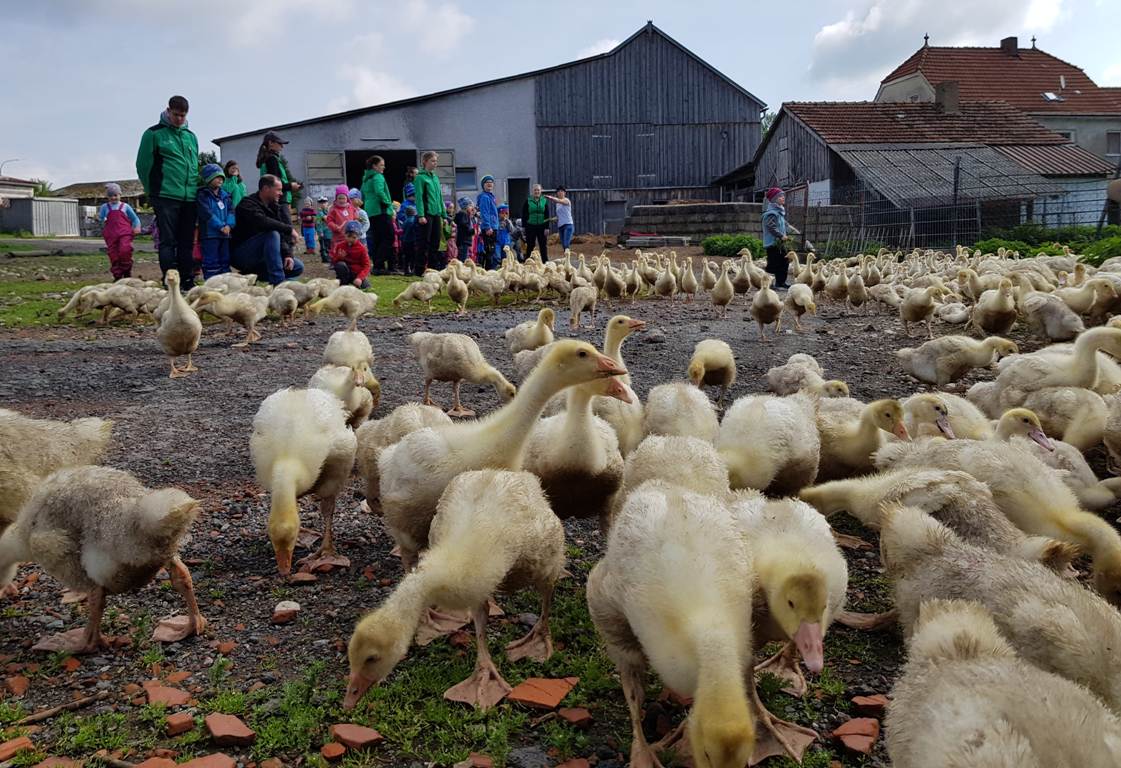 So lernen Kinder nachhaltigen Umgang mit Natur