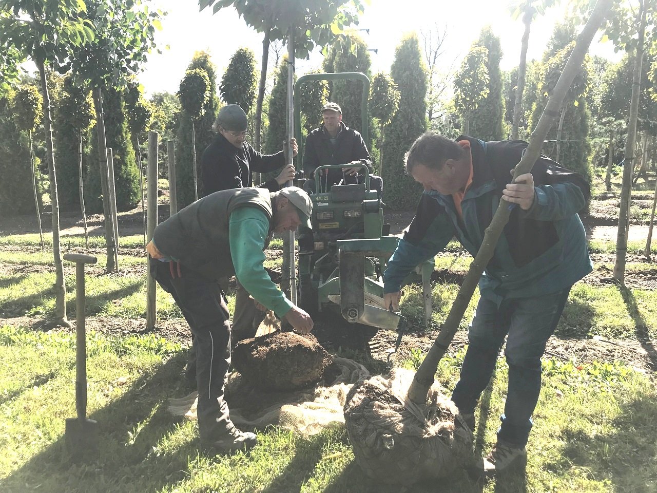Garten Punzmann bietet Meisterwerke zum kleinen Preis